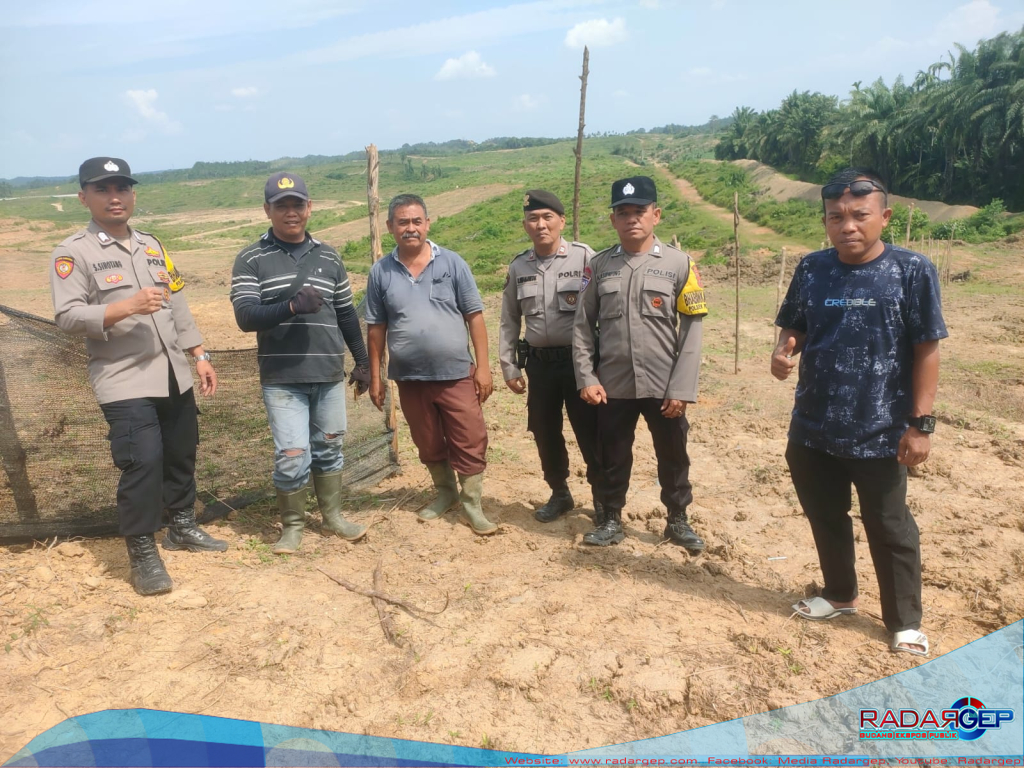 Kapolsek Pangkalan Brandan Tinjau Perkembangan Tanaman Jagung